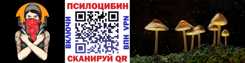 Купить где  Белореченск  Галлюциногенные грибы Cubensis 