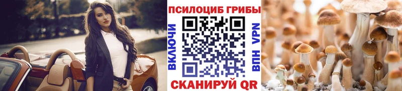 Псилоцибиновые грибы прущие грибы Белореченск