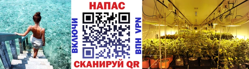 Купить  Белореченск  МАРИХУАНА тримм 